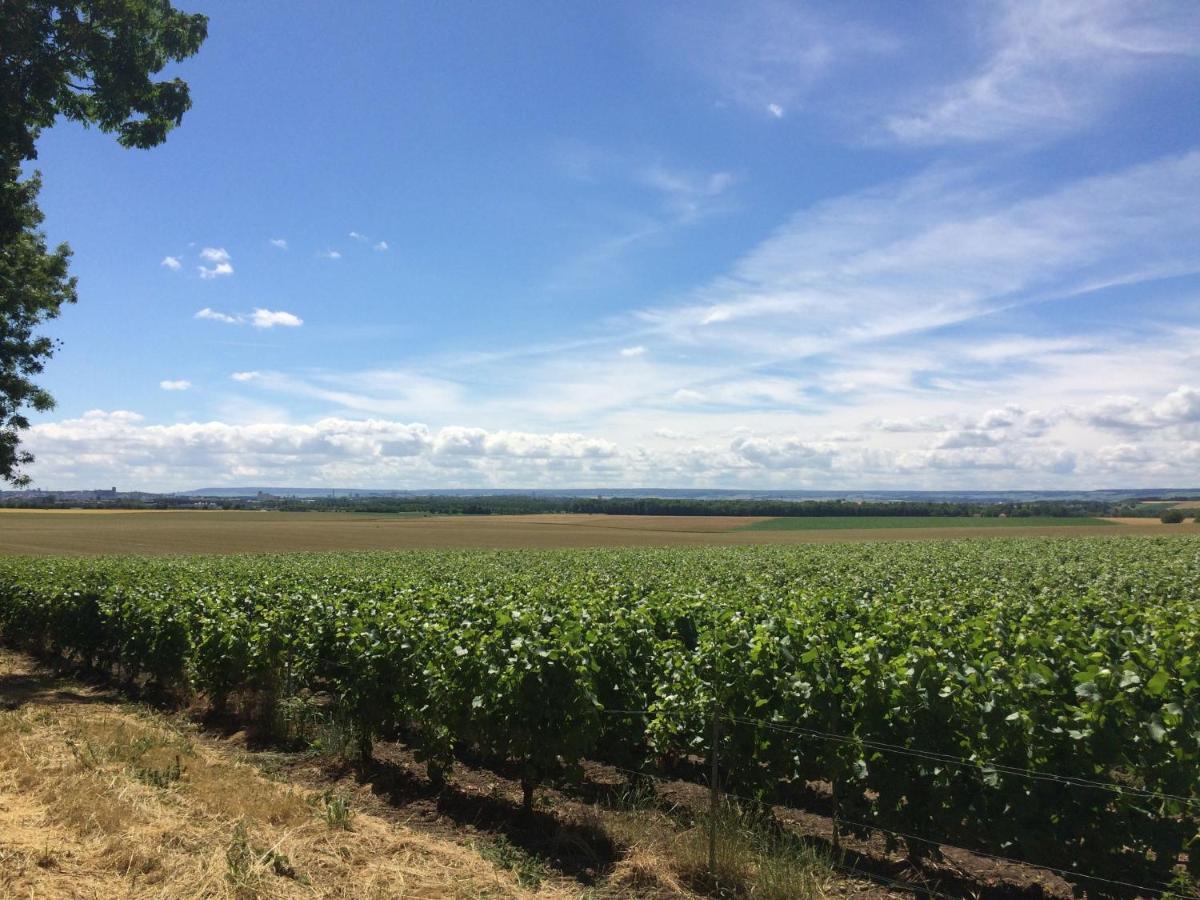 Best View, Pool And Spa On The Champagne Vineyard Saint-Thierry Εξωτερικό φωτογραφία