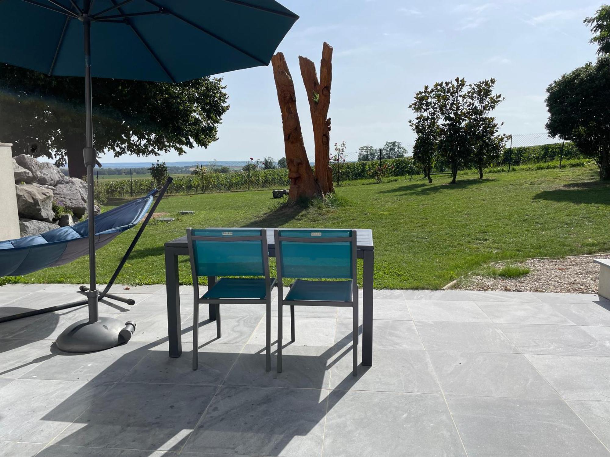Best View, Pool And Spa On The Champagne Vineyard Saint-Thierry Εξωτερικό φωτογραφία